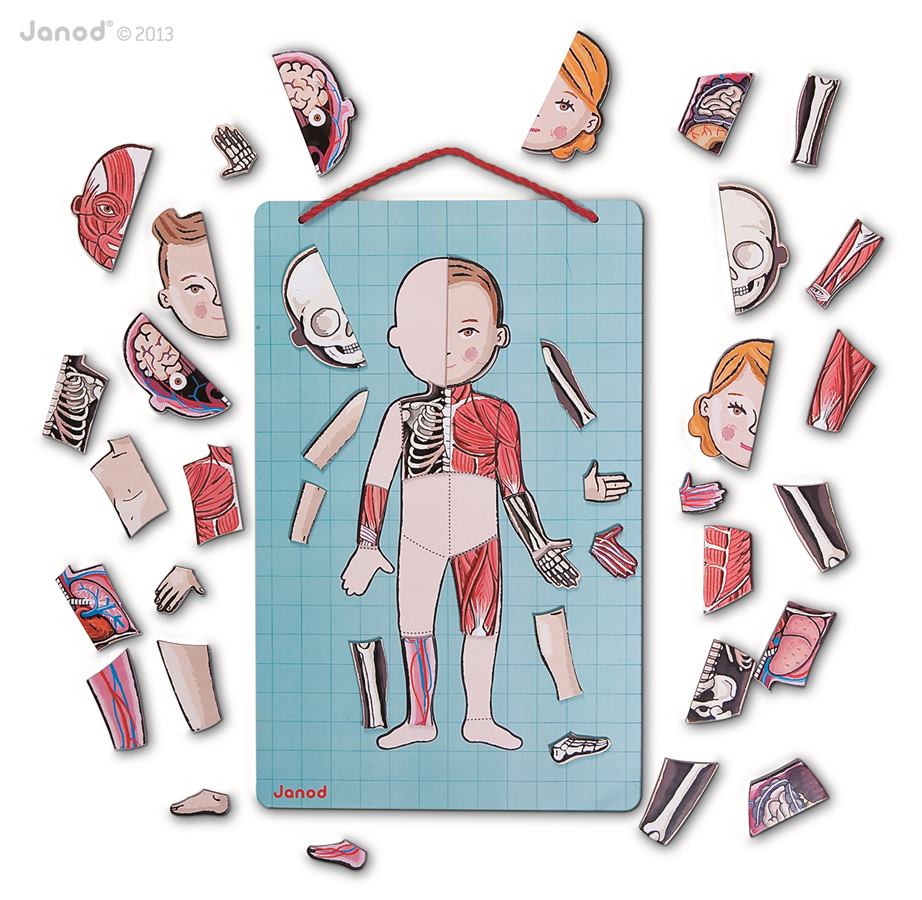 Janod - Magnetická skladačka ľudské telo
