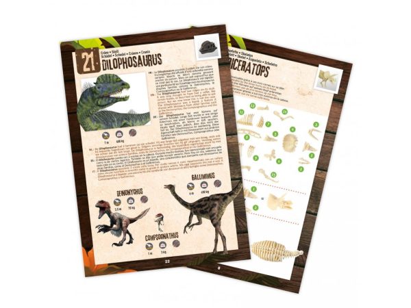 DINO krabica plná prekvapení 25ks